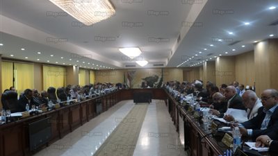 محافظ الفيوم يترأس المجلس التنفيذي لمناقشة القطاعات الحيوية (صور) 