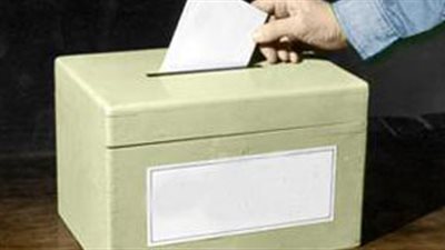 جورجيا: الجولة الثانية من الانتخابات الرئاسية فى موعد أقصاه 2 ديسمبر