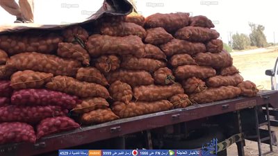 غضب مزارعي البطاطس في قنا.. كبار التجار يتحكمون في السوق والمزارع والزبون يدفعون الثمن