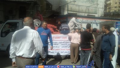 منتجي البطاطس بالدقهلية تدعمها فى الأسواق بسعر 6 جنيهات للكيلو  ..(صور)