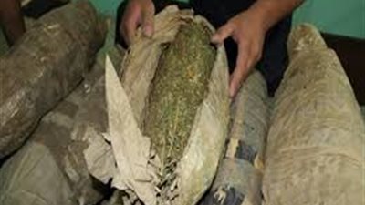 إحباط تهريب 300 كيلو بانجو عبر قناة السويس