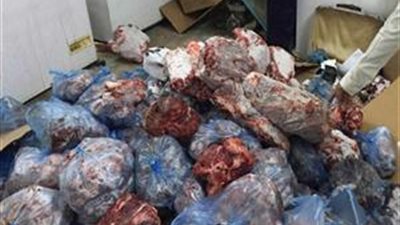 ضبط 5 أطنان لحوم فاسدة داخل ثلاجة بالسيدة زينب