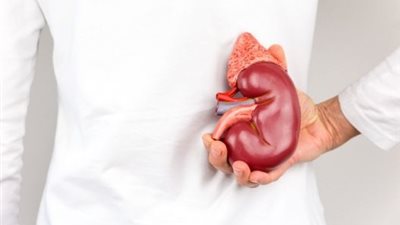 الجلوس لفترات طويلة واحتباس البول.. 6 عادات خاطئة تؤثر على صحة الكليتين