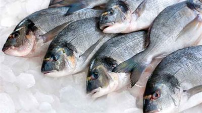 السمك يستقر بالأسواق اليوم الجمعة 2-11-2018