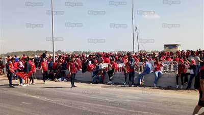 سيرًا على الأقدام إلى برج العرب.. جماهير الأهلي تتحدى حرارة الشمس (صور)