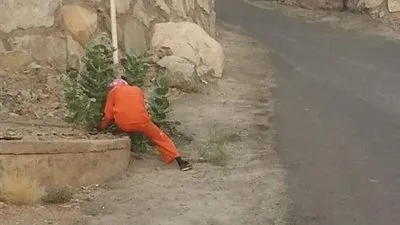 مباشر- السعودية| بلدية الحازمي بمحافظة بيشة تستكمل تنظيف الأحياء التابعة لها