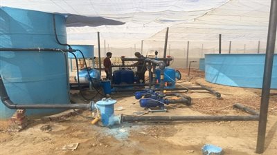 شاهد.. أكبر مشروع حكومي لإنتاج الثروة السمكية في مصر
