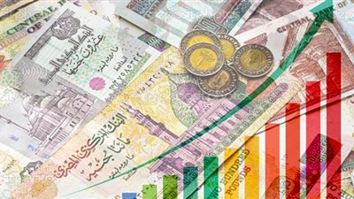 في ذكرى التعويم.. الاقتصاد يتعافى والمواطن قيد الأزمات