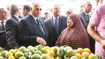محافظ القاهرة يتفقد منافذ بيع الخضروات لمحاربة الغلاء بأحياء المطرية والسلام