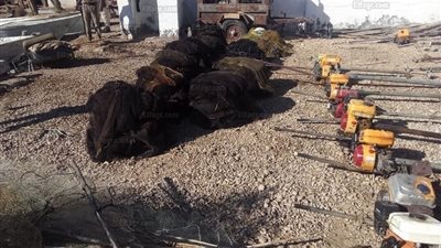 الداخلية تشن حملة مكبرة لإزالة التعديات على بحيرة البرلس والمجاري المائية في كفر الشيخ (صور)