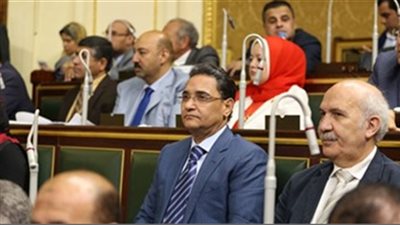 برلماني يشيد بالقضايا التي استعرضها السيسي في منتدى شباب العالم 