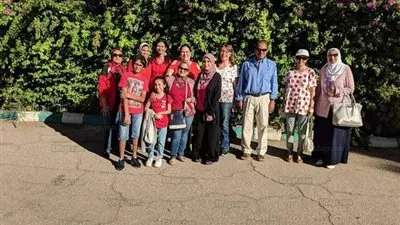 في عيد الحب.. متطوعون في المجال البيئي يطعمون كلاب وقطط الشوارع بالإسكندرية (صور)