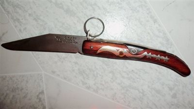 إحالة متهمين للجنايات لشروعهما في قتل سائق 