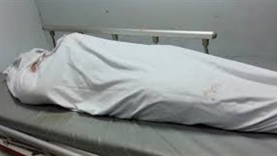 شقيقان يستدرجان سائقا ويخنقانه حتى الموت لسرقة سيارته في البحيرة