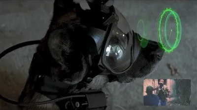 فرنسا تزود كلاب الشرطة بنظارات خاصة