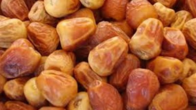 غدًا.. إنطلاق فعاليات مهرجان التمور المصرية بواحة سيوة