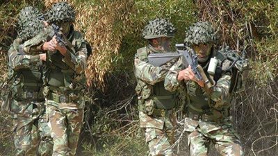 استسلام إرهابي للجيش جنوب الجزائر