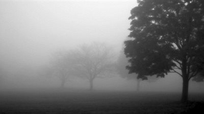 صدى- السعودية | تنبيه.. ضباب على 8 مناطق يستمر لـ 10 ساعات