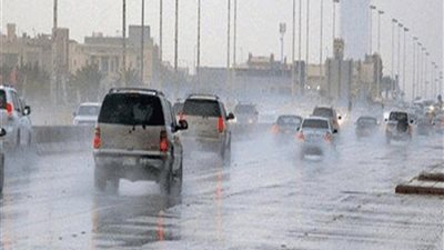 محافظ الإسكندرية: شبكة شنايش تغطي كافة أرجاء المحافظة بنسبة تصل إلى 95%