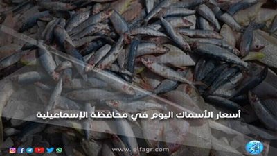 أسعار الأسماك اليوم السبت 10ـ 11 ـ 2018 بمحافظة الإسماعيلية