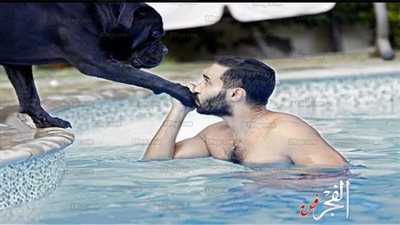 أحمد فهمي يقبل 