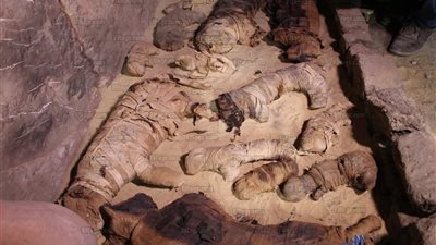 تفاصيل العثور على جعارين أثرية محنطة وتماثيل القطة 