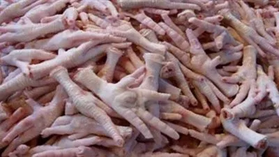 وزارة الزراعة: مصر تصدر 