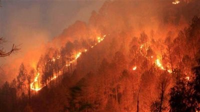 أكثر من 200 مفقود فى أسوأ حريق غابات تم تسجيله بكاليفورنيا