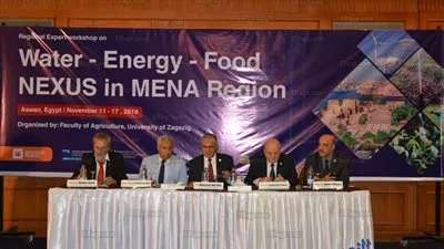 40 خبيرًا دوليًا يشاركون في ورشة عمل عن المياه والطاقة والغذاء بأسوان