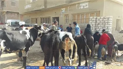 قافلة بيطرية لـ