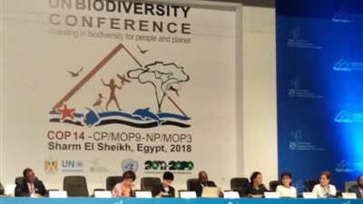 أمينة اتفاقية الأمم المتحدة للتنوع البيولوجي: 77% من أراضي الكوكب دمرها البشر