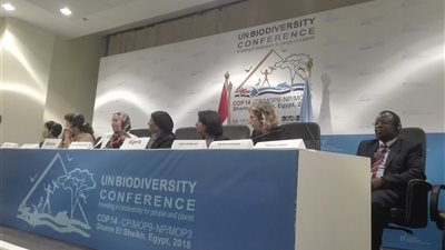 سكرتيرة اتفاقية التنوع البيولوجي: نحتاج لتضافر الجهود من أجل حياة آمنة لأطفالنا