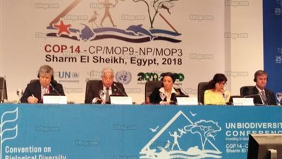 وزيرة البيئة في اجتماع شق رفيع المستوى: الاستثمار في التنوع البيولوجي ضروري من أجل الانسان والكوكب    