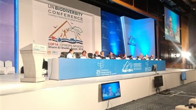 أمينة الأمم المتحدة من شرم الشيخ: 