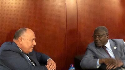 شكري يلتقي وزير خارجية النيجر على هامش الاجتماعات التمهيدية للقمة الأفريقية الاستثنائية