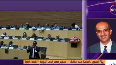 السفير المصري بإثيوبيا: توافق عريض بين الدول الأفريقية على إعادة هيكلة مفوضية الاتحاد (فيديو)
