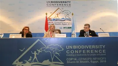 وزيرة البيئة تعقد مؤتمرًا صحفيًا للإعلان عن تفاصيل مشروعي برنامج الأمم المتحدة الإنمائي