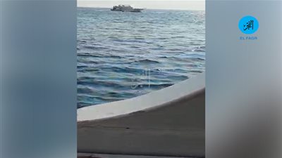 عاجل.. جمعية الإنقاذ البحري تتلقى بلاغ بتسرب بترولي شمال الغردقة (فيديو)