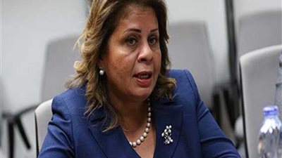 برلمانية تكشف تفاصيل تقدمها بطلب إحاطة حول حقن الدواجن بالمضادات الحيوية