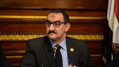 برلماني: إنشاء اللجنة العليا لحقوق الإنسان للرد على مغالطات المنظمات المسيسة