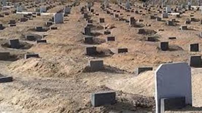 ما حكم وضع الزرع عند القبر؟