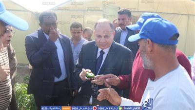 محافظ الفيوم يفتتح باكورة إنتاج مشروع الصوب الزراعية بطامية (فيديو وصور)