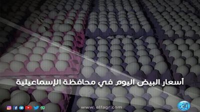 أسعار البيض اليوم الإثنين 19ـ 11 ـ 2018 بمحافظة الإسماعيلية