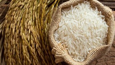 الأرز يرتفع 500 جنيه للطن بفعل 