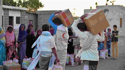 تفاصيل المبادرة السعودية الإماراتية 