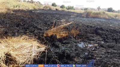 السيطرة على حريق بجوار الجبانة الأثرية في أسوان 