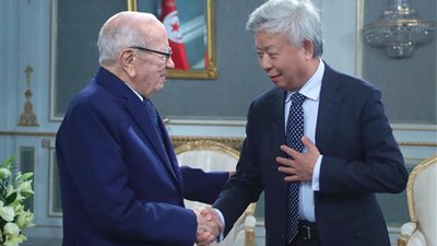 رئيس البنك الآسيوي للاستثمار: انضمام تونس يمكنها من تمويلات كبيرة