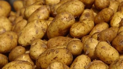 البطاطس بـ 7 جنيهات.. أسعار الخضروات اليوم الخميس في سوق العبور