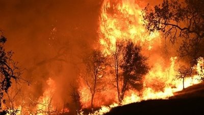 أمريكا: احتواء حرائق كاليفورنيا بشكل شبه تام
