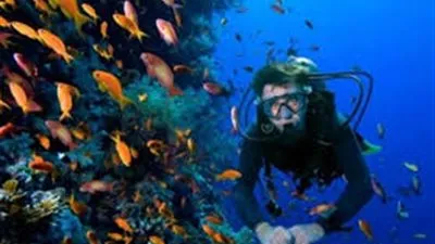  مصر تحصد ثالث أفضل وجهة للغوص في العالم